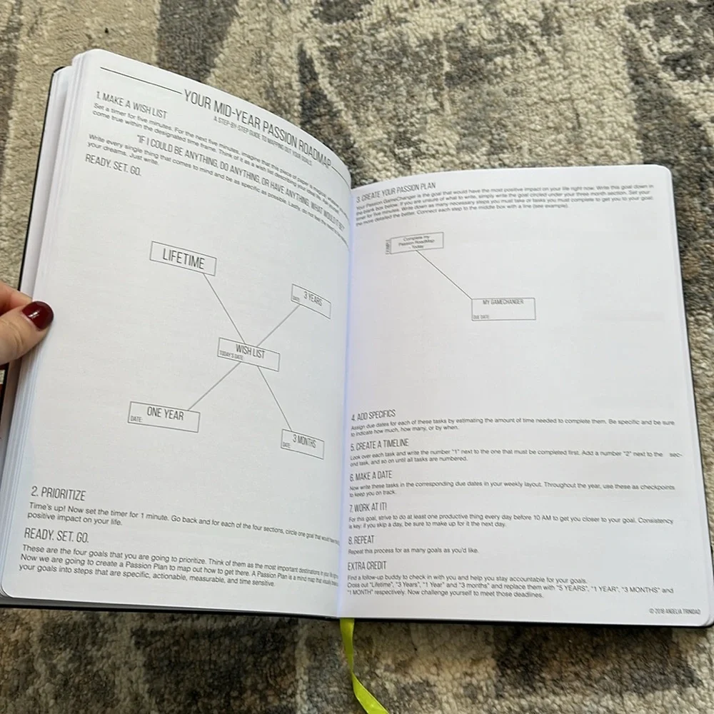 2018 Large Passion Planner (never used)
